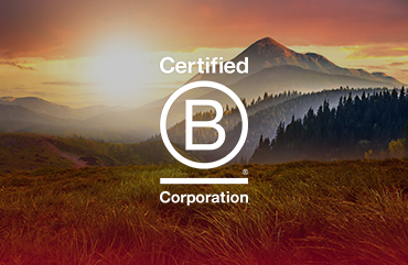  Büyük Şirketler Nasıl B Corp Sertifikası Alabilir?