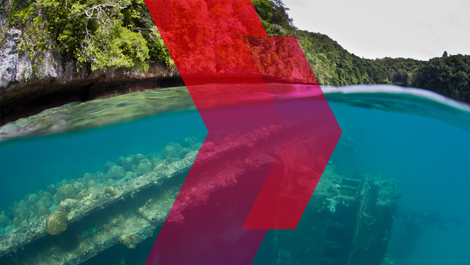 Su Altı Zenginliğimiz Tehdit Altında: Yapay Resifler Nasıl Bir Çözüm Sunar?