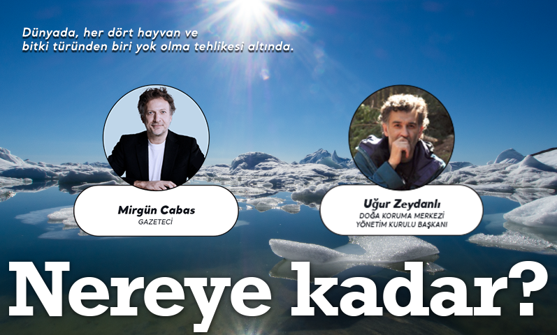 Nereye7